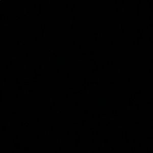 Meet your Posher, Gavin